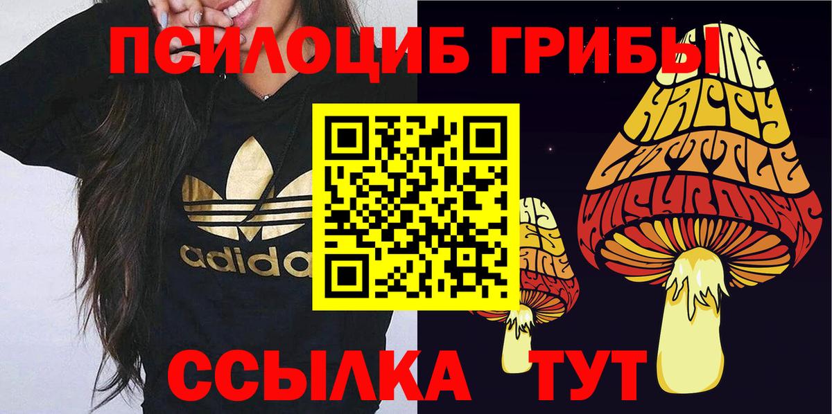 Галлюциногенные грибы GOLDEN TEACHER  Вход с VPN  закладка  Миасс 